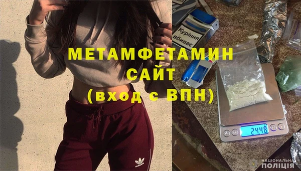 прущие грибы Балабаново