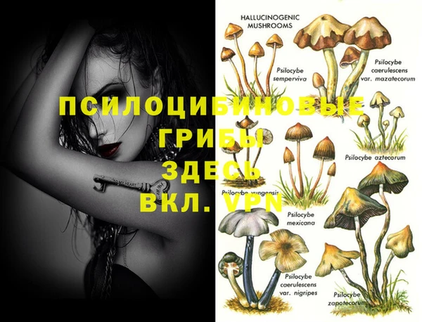 прущие грибы Балабаново