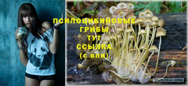 прущие крисы Баксан