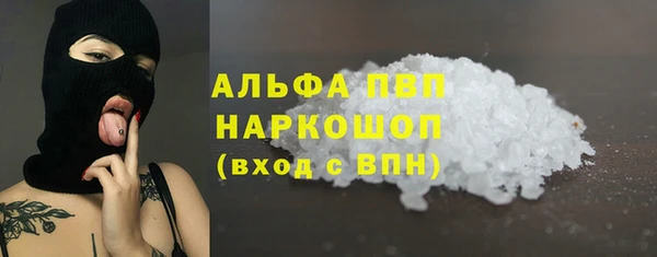 прущие грибы Балабаново