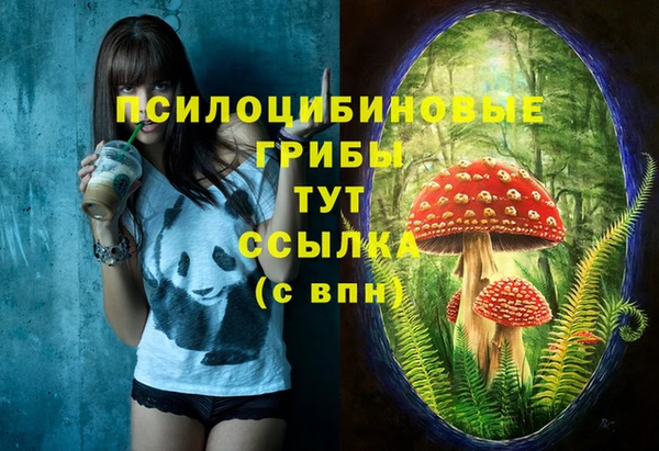 прущие крисы Баксан