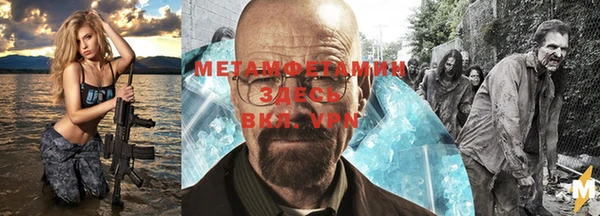 прущие грибы Балабаново