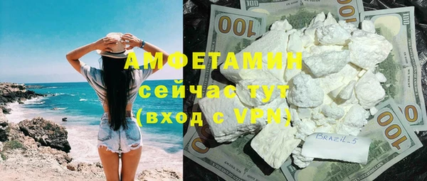 прущие грибы Балабаново
