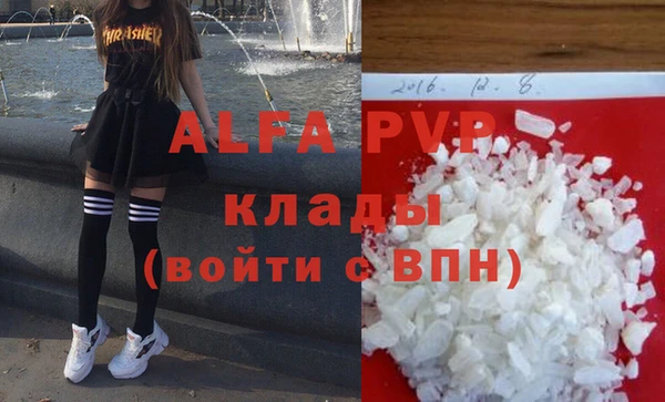 прущие грибы Балабаново