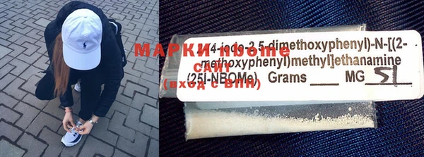 прущие грибы Балабаново